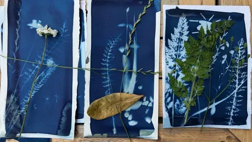 The image shows leaves and twigs placed on top of three blue prints.