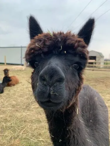Our very funny Jimmy