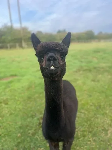 Our very cute Matilda