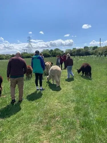 Walking in our paddocks