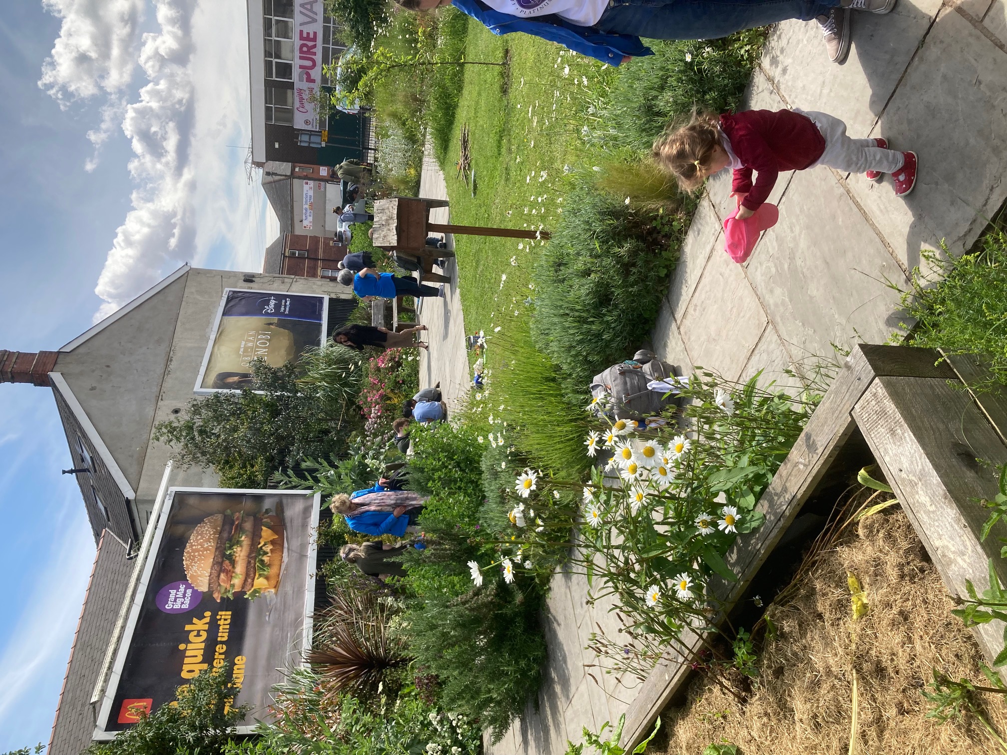 st.marys garden, maindee