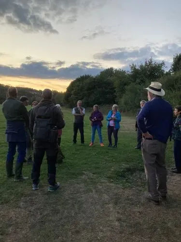 bat walk at glebelands