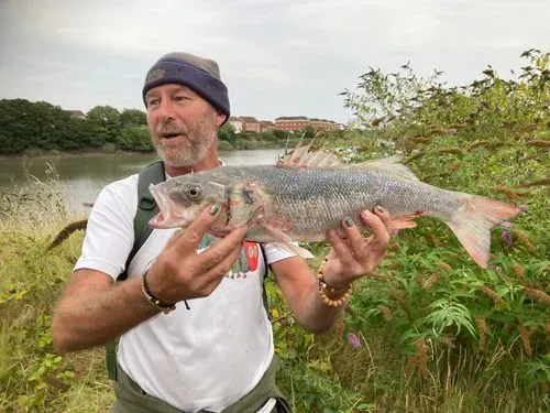 Steve presenting a fish!