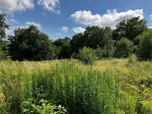 barrack hill