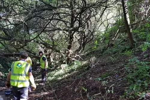 volunteers