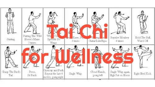 a graph of various Tai Chi positions, with text reading Tai Chi for Wellness