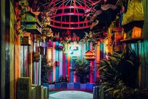 Tree top space with bright coloured bird cages