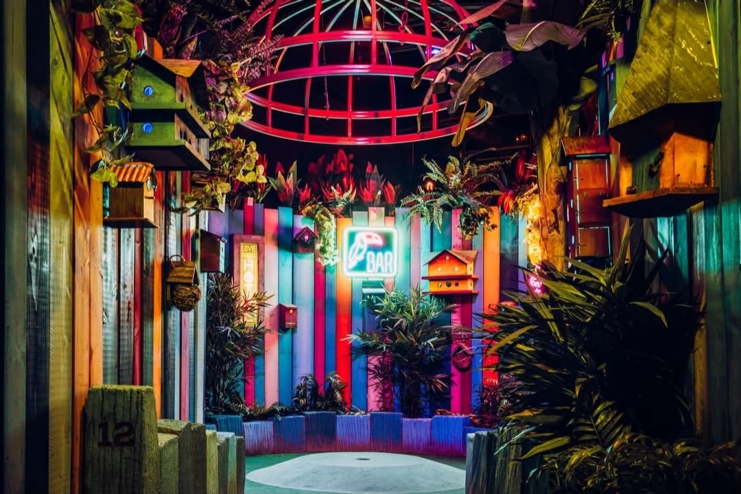 Tree top space with bright coloured bird cages