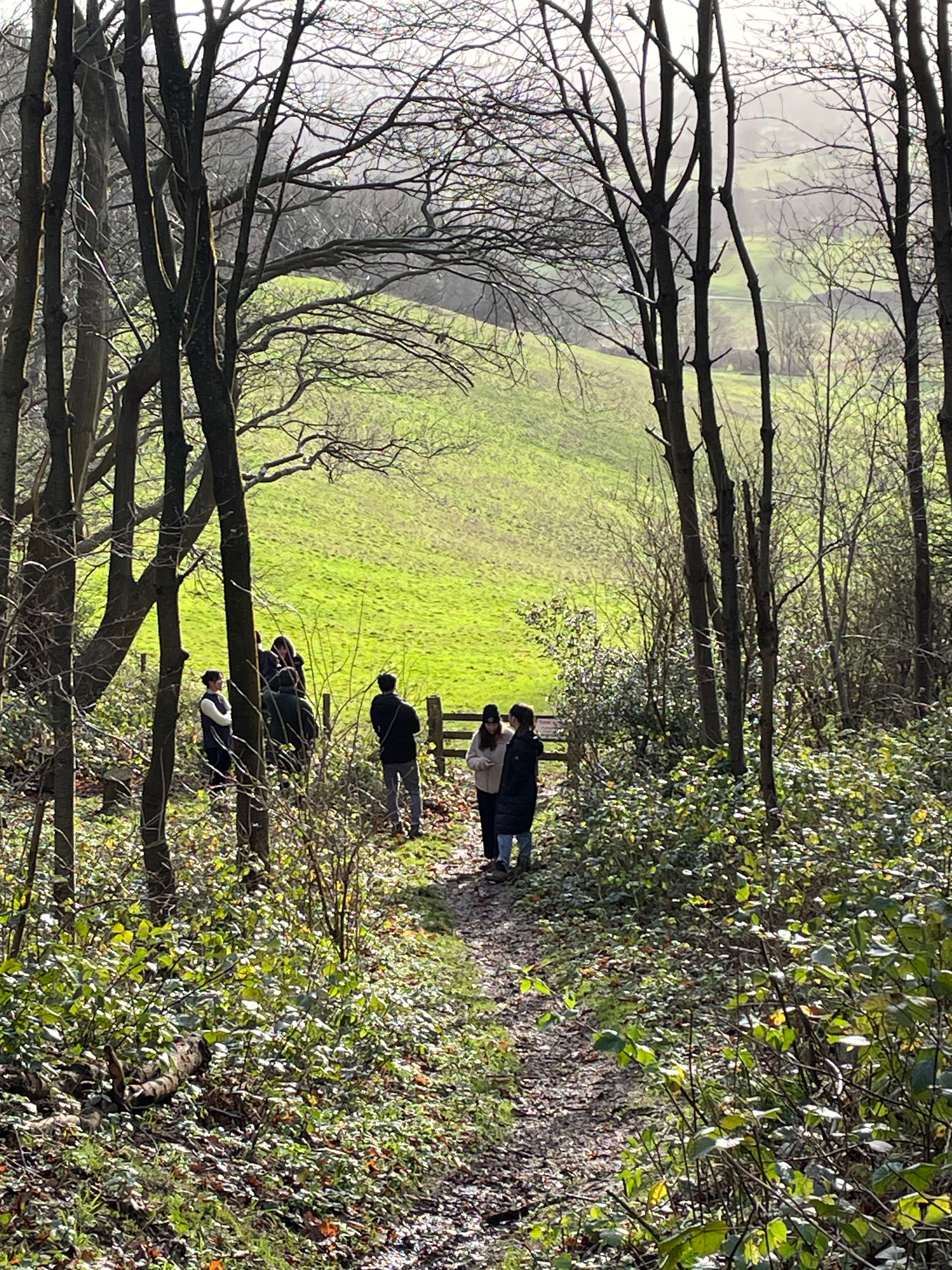 Kent Downland