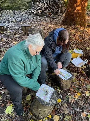 Two ladies beneath a tree using hammers to hit leaves into a piece of material to create patterns