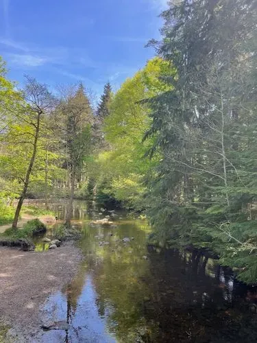 An image of a shallow river, woodland either side and blue sky 