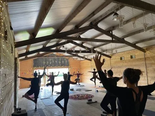 people in tree yoga pose in a yoga studio