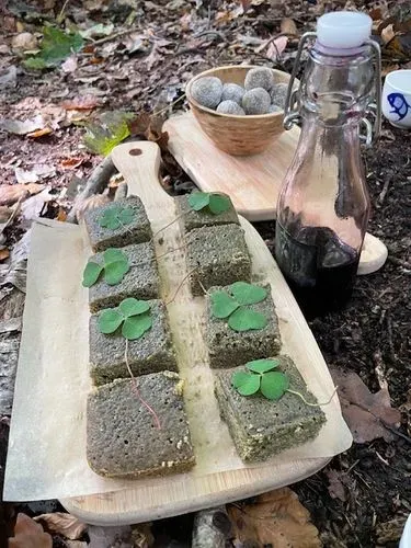 A nettle cake with wood sorrel leaves on top, a glass bottle of elderberry cordial and nettle energy balls laid out on the woodland floor.