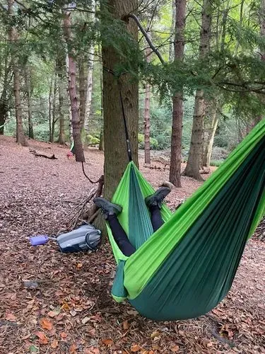 A person in a hammock in the woods. 