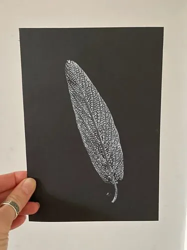 monoprint of a leaf in white ink on a black background