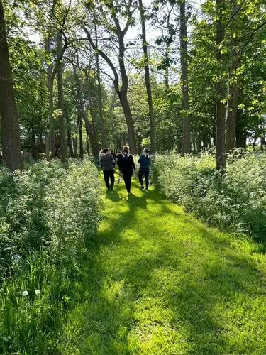 People walking through A woodland in spring.