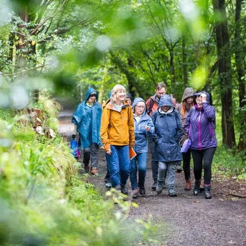 group of people walking on a path through the woods