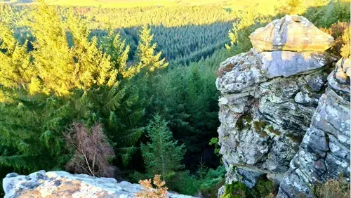 Thrunton Woods