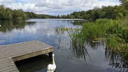 Bolam Lake