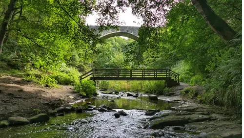 Causey Arch