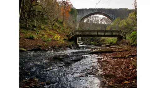 Causey Arch