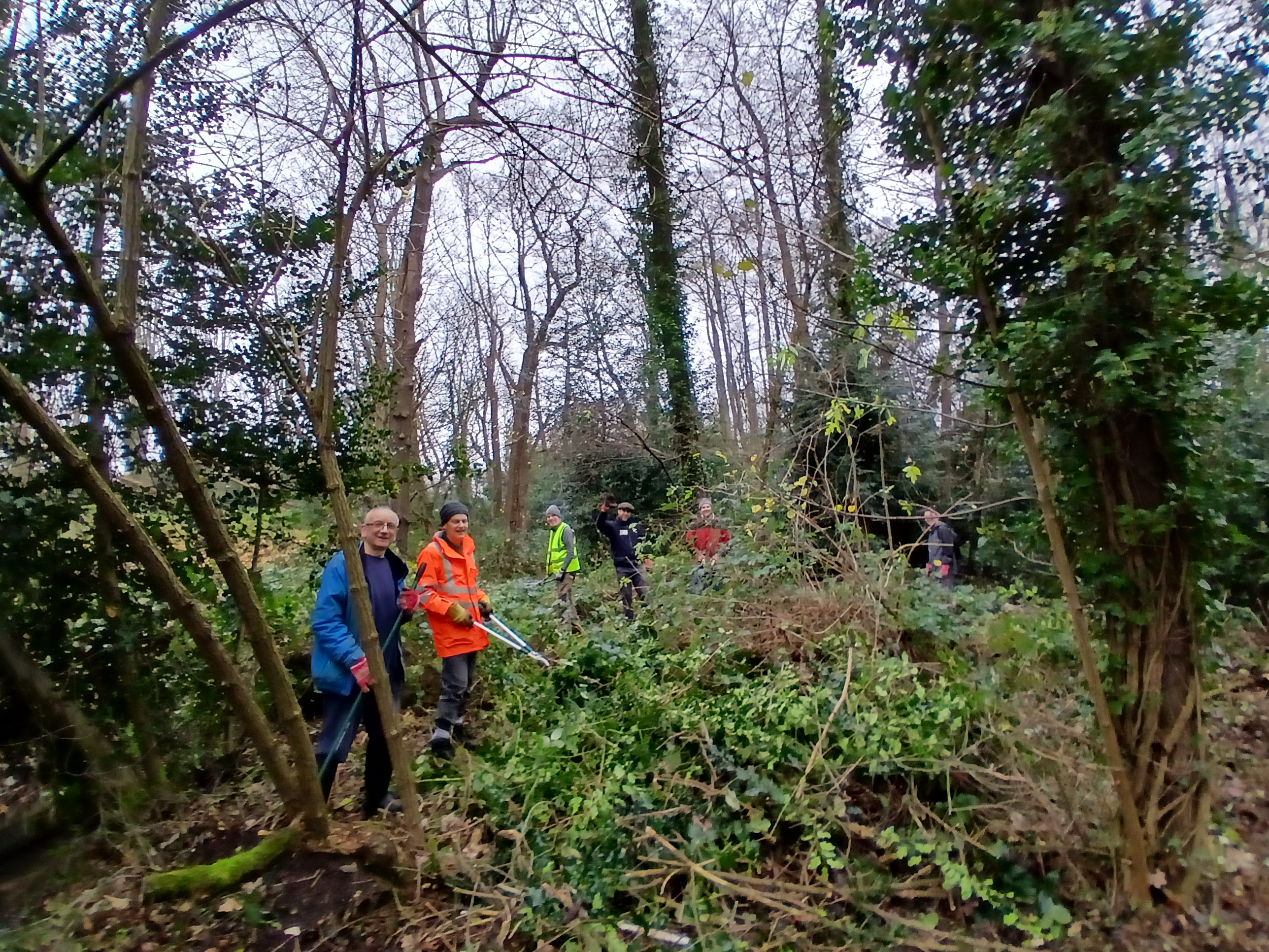 Volunteers waving in dense woodland