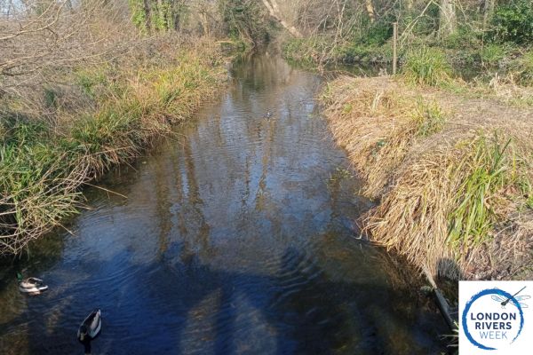 Morden Hall Park_River Wandle_ London Rivers Week 2025