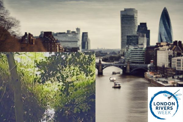 London RIvers Week 2024 event