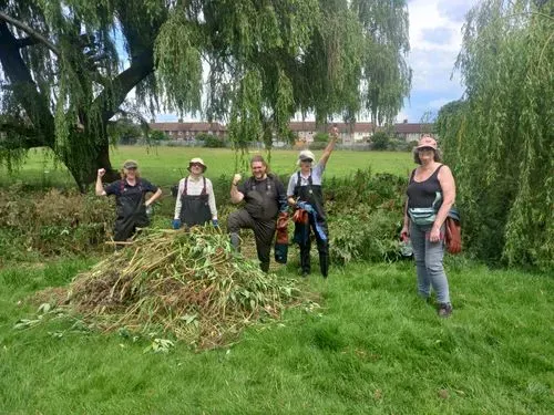 Volunteers with a pile of Balsam