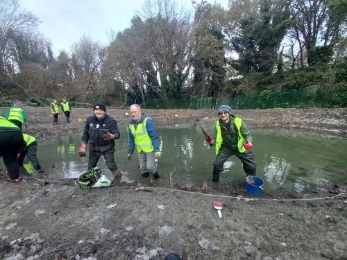 Three volunteers in high visibility standing in the ponds planting 