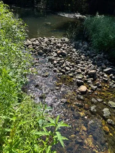 Cobbles in a river channel creating riffles 