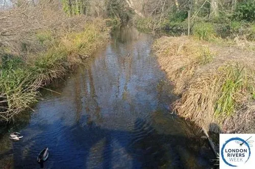 Morden Hall Park_River Wandle_ London Rivers Week 2025