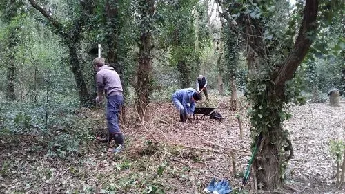 Volunteers in the Welsh Harp woods.