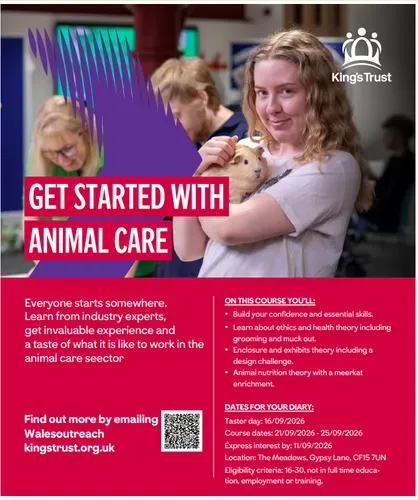 Kings Trust: Get Started with Animal Care