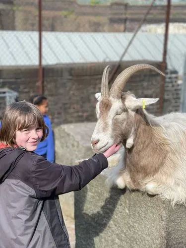 child with goat