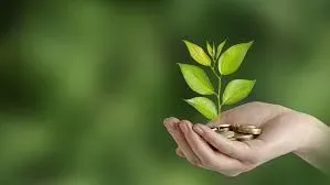 Sapling growing out of money