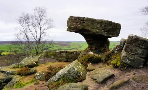 large stone in foreground surrounded by grass