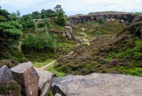 grass and moorland