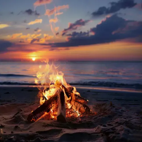Log fire burning on the beach