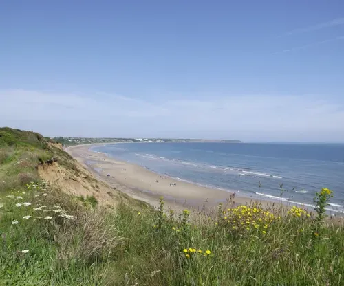 Sandy beach with grass and flowers in foreground