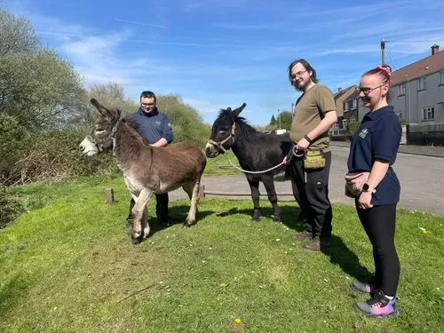 3 people with 2 donkeys at the roadside