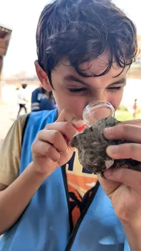 a child looking through a magnifying glass