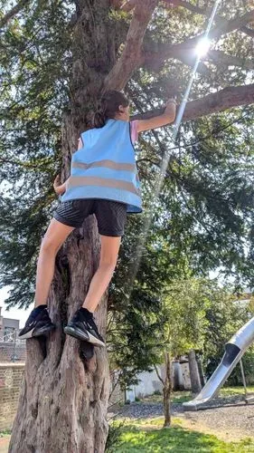 a child climbing on a tree