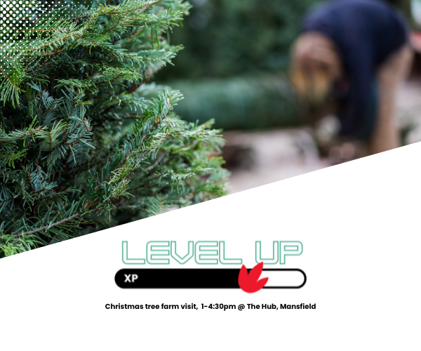 christmas tree farm