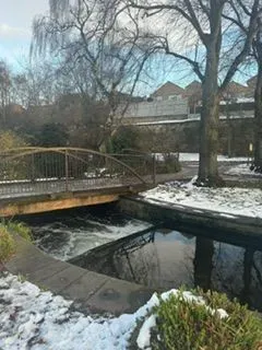 Mansfield Wellbeing Walk River