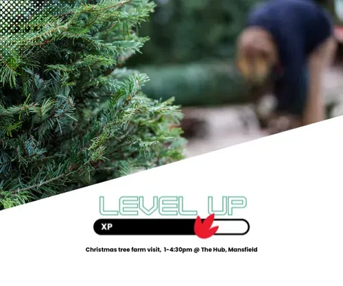 christmas tree farm