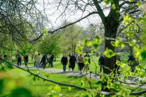 People walking in a park