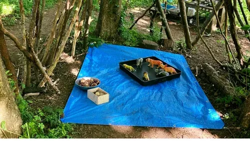 blue tarp on a woodland ground. On the tarp is a tray with toy animals, a bowl with pinecones and some wooden blocks. In the background is a mud kitchen for children to play with. 