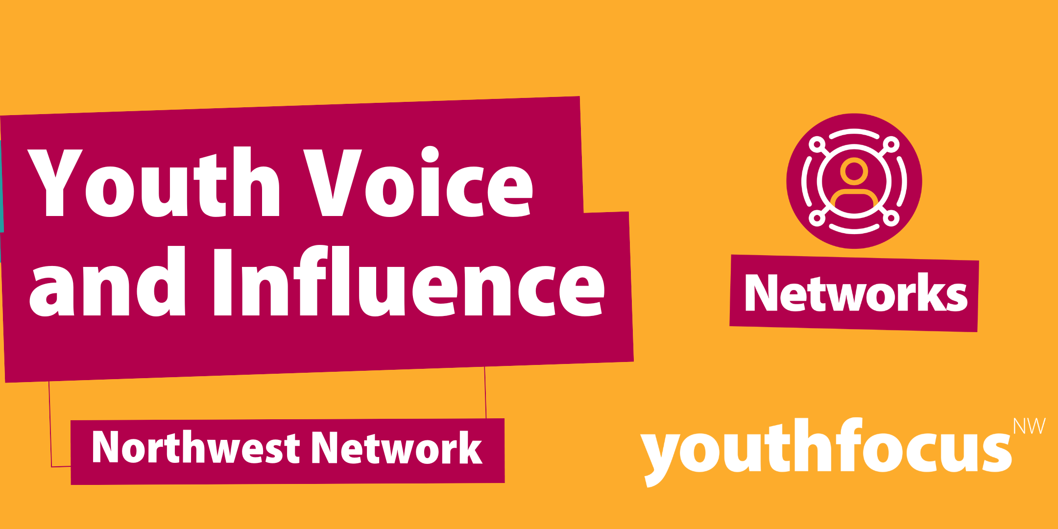 Voice and Influence Network