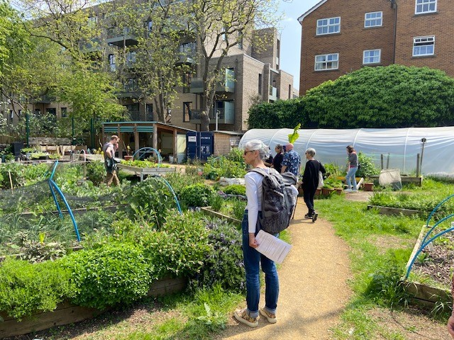 Group arriving at the Community Plant Nursery